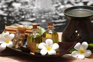 طب گیاهی سنتی طب گیاهی سنتی